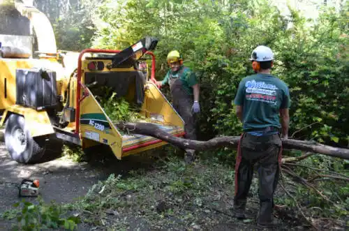 tree services American Falls